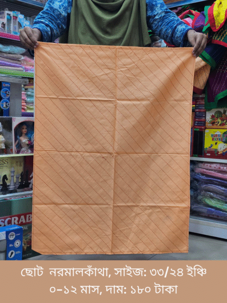 নর্মাল কাঁথা | হাতে তৈরি কাঁথা | Handmade Katha/Quilt (33X24inches)